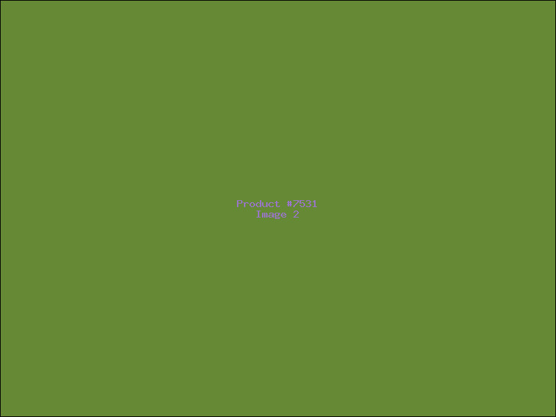 Example Product 7531 - Image 2