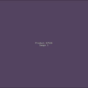 Example Product 7536