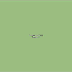 Example Product 7538