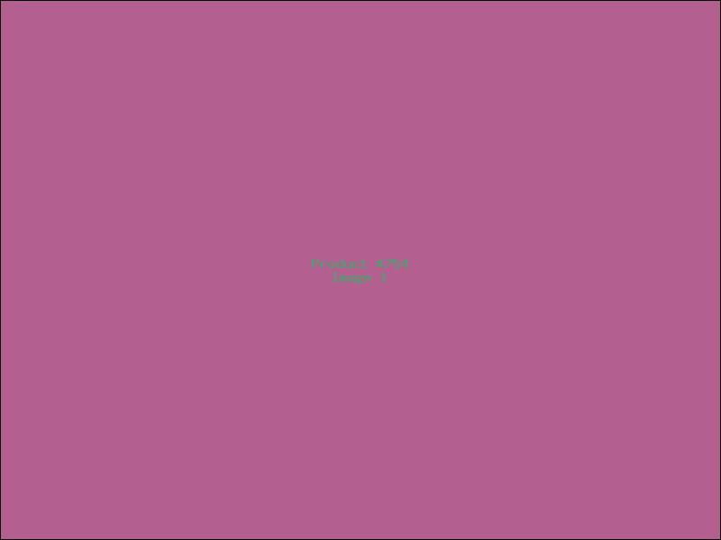 Example Product 754