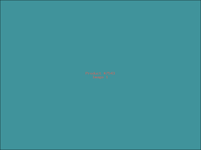 Example Product 7543