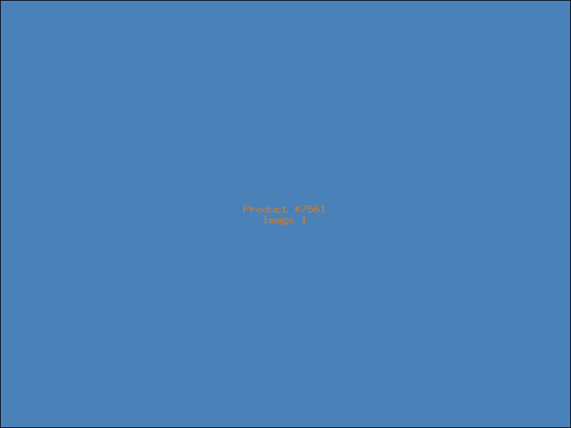 Example Product 7561