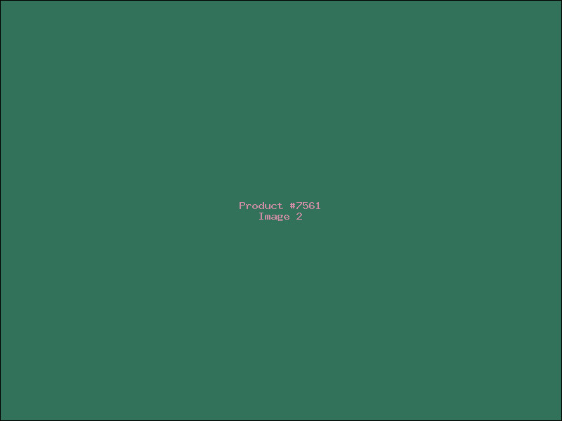 Example Product 7561 - Image 2