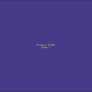 Example Product 7565