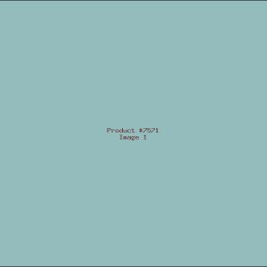 Example Product 7571