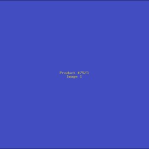 Example Product 7573