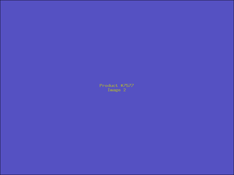 Example Product 7577 - Image 2