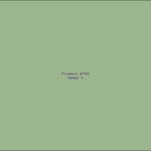 Example Product 759