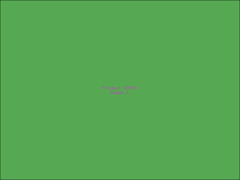 Example Product 7599