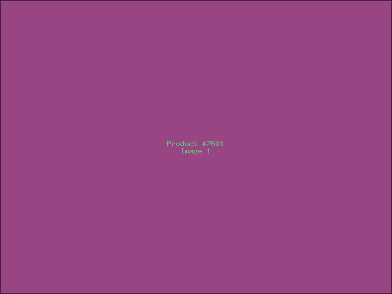Example Product 7601