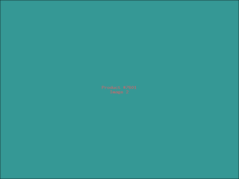 Example Product 7601 - Image 2