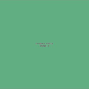 Example Product 7611