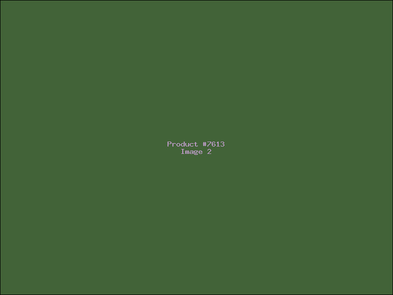 Example Product 7613 - Image 2