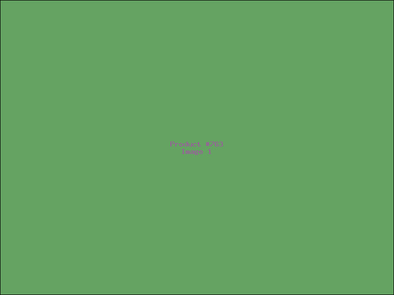 Example Product 763