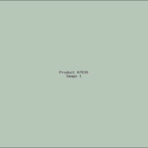 Example Product 7630