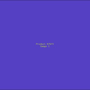 Example Product 7673