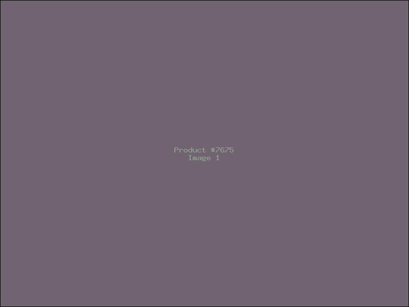 Example Product 7675