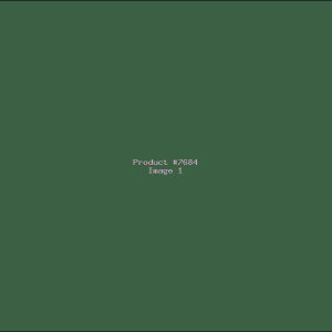Example Product 7684