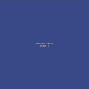 Example Product 7688