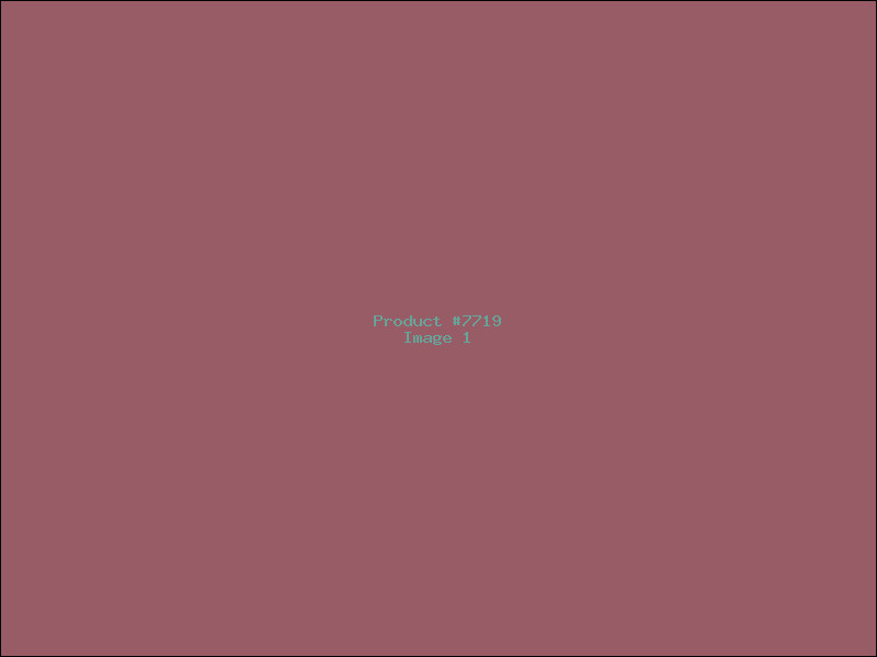 Example Product 7719