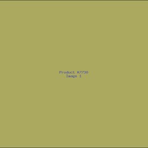 Example Product 7730
