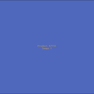 Example Product 7732