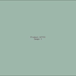 Example Product 7733