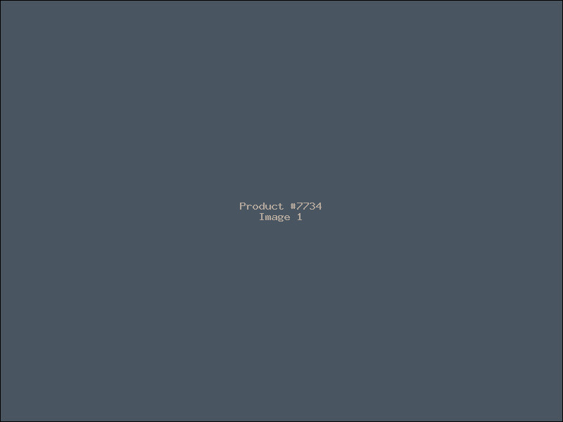 Example Product 7734