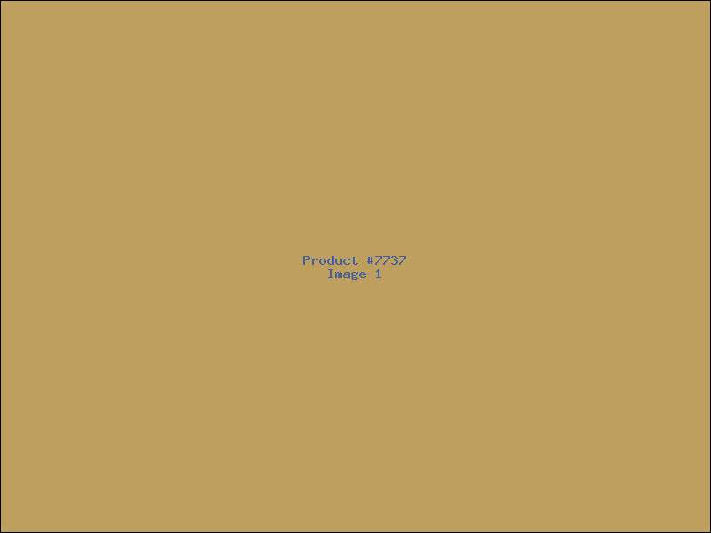 Example Product 7737