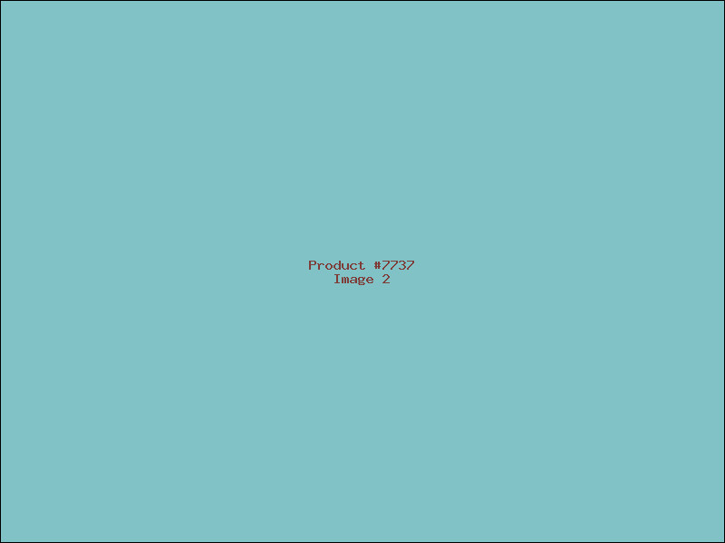 Example Product 7737 - Image 2