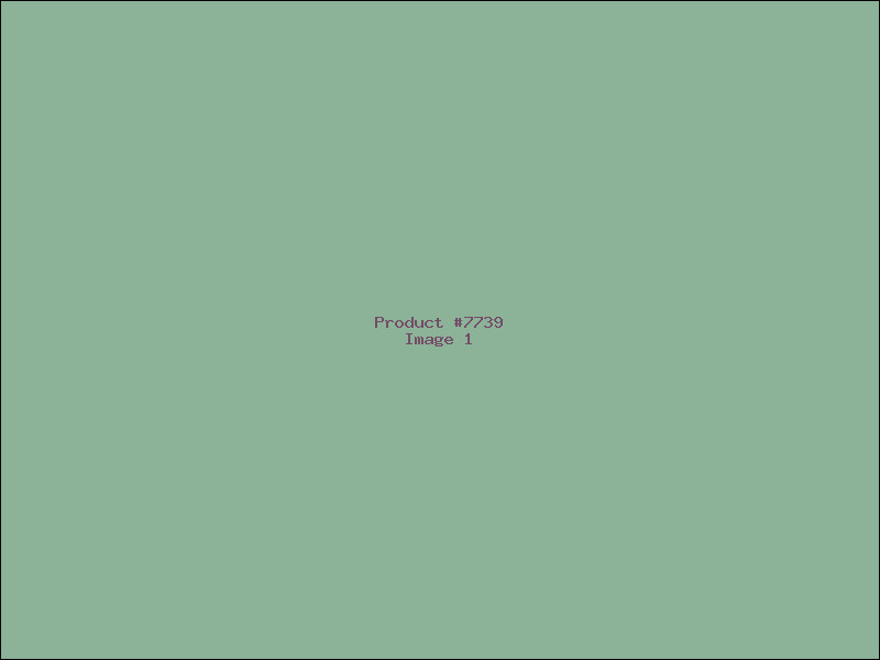 Example Product 7739