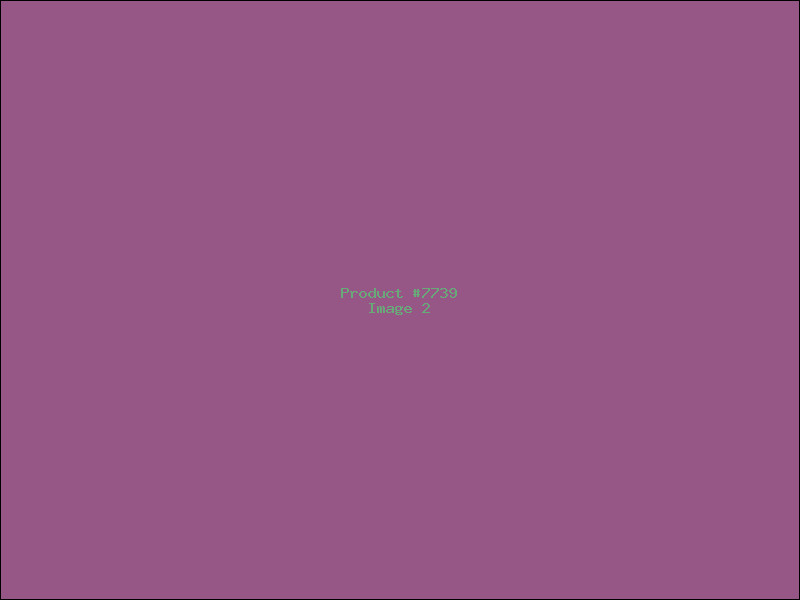 Example Product 7739 - Image 2