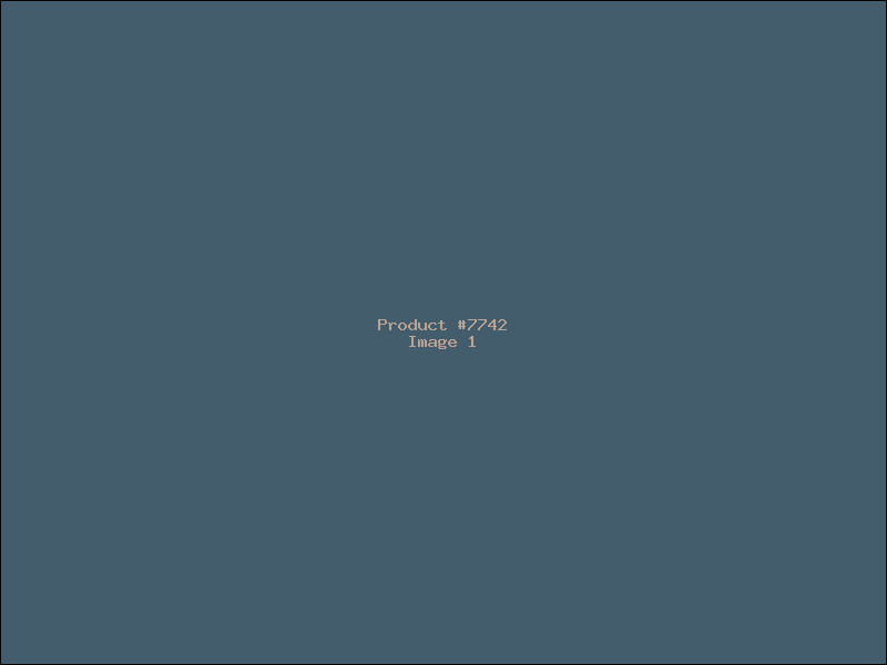 Example Product 7742