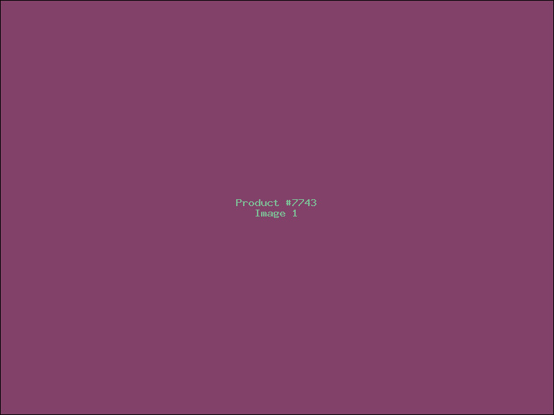 Example Product 7743