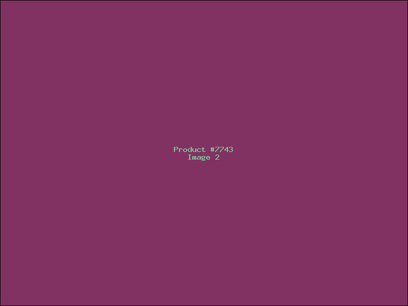 Example Product 7743 - Image 2