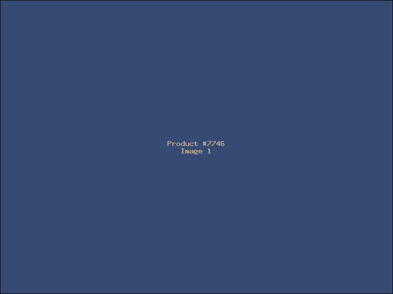 Example Product 7746