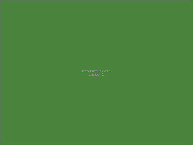 Example Product 7747 - Image 2