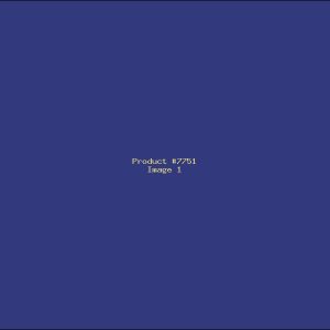 Example Product 7751