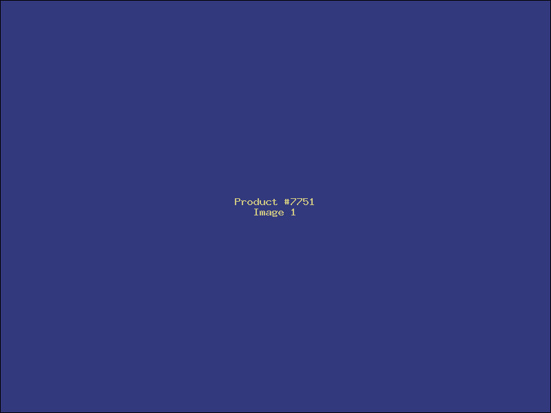 Example Product 7751