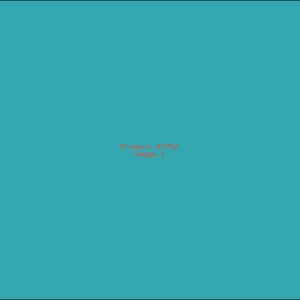 Example Product 7752