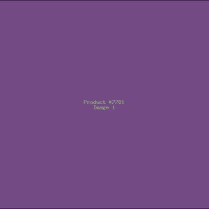 Example Product 7781