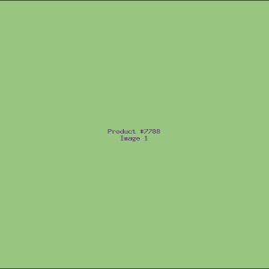 Example Product 7788