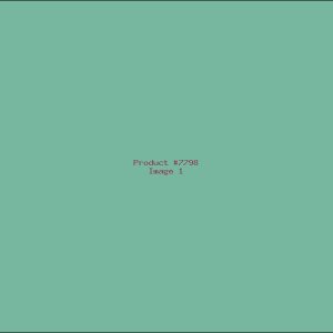 Example Product 7798