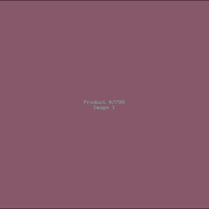Example Product 7799