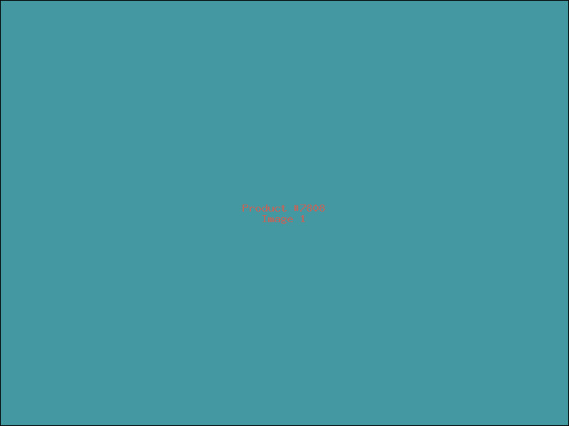 Example Product 7808