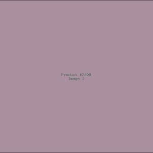 Example Product 7809