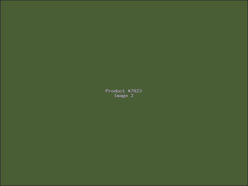 Example Product 7823 - Image 2
