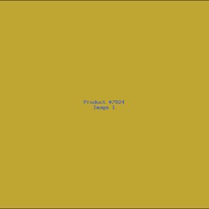 Example Product 7824