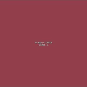 Example Product 7829