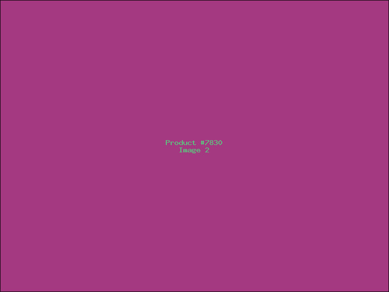 Example Product 7830 - Image 2